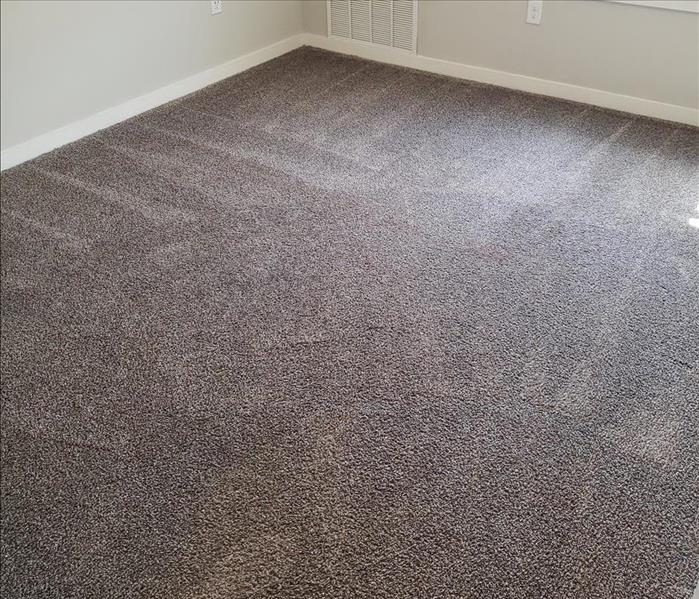 Light brown carpet in a room