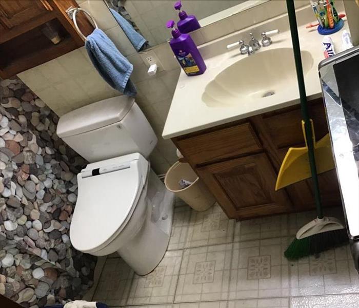 small bathroom with a toilet, sink and visible bath curtain with vinyl floor tiles