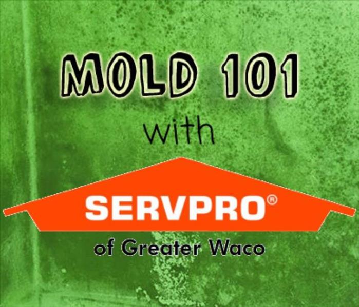 Mold 101 text with the SERVPRO of Greater Waco logo