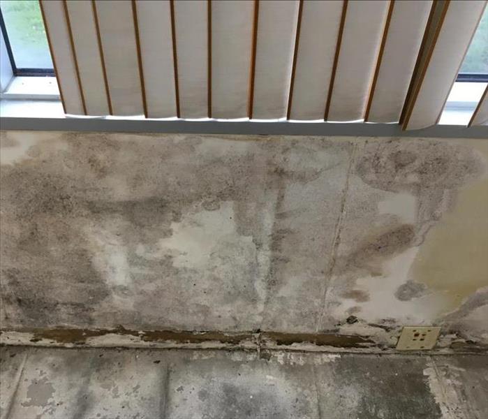 A wall in a manufacturing facility with mold damage.
