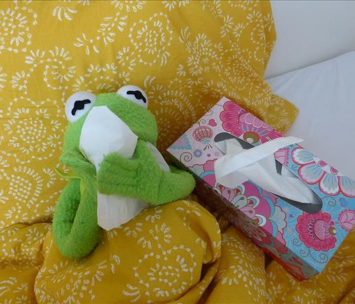 A green frog plush posed as if blowing his nose on a kleenex