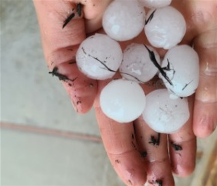 A hand holding several quarter sized hailstones