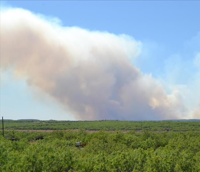 Black smoke from a wildfire rising against a blue sky
