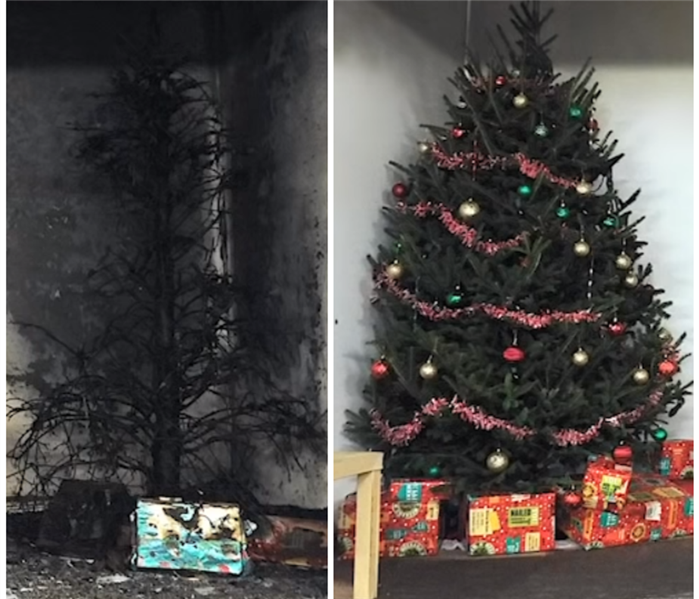 A side by side comparison of a Christmas tree and a burnt Christmas tree in a home.